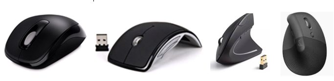 Mouses anatômicos